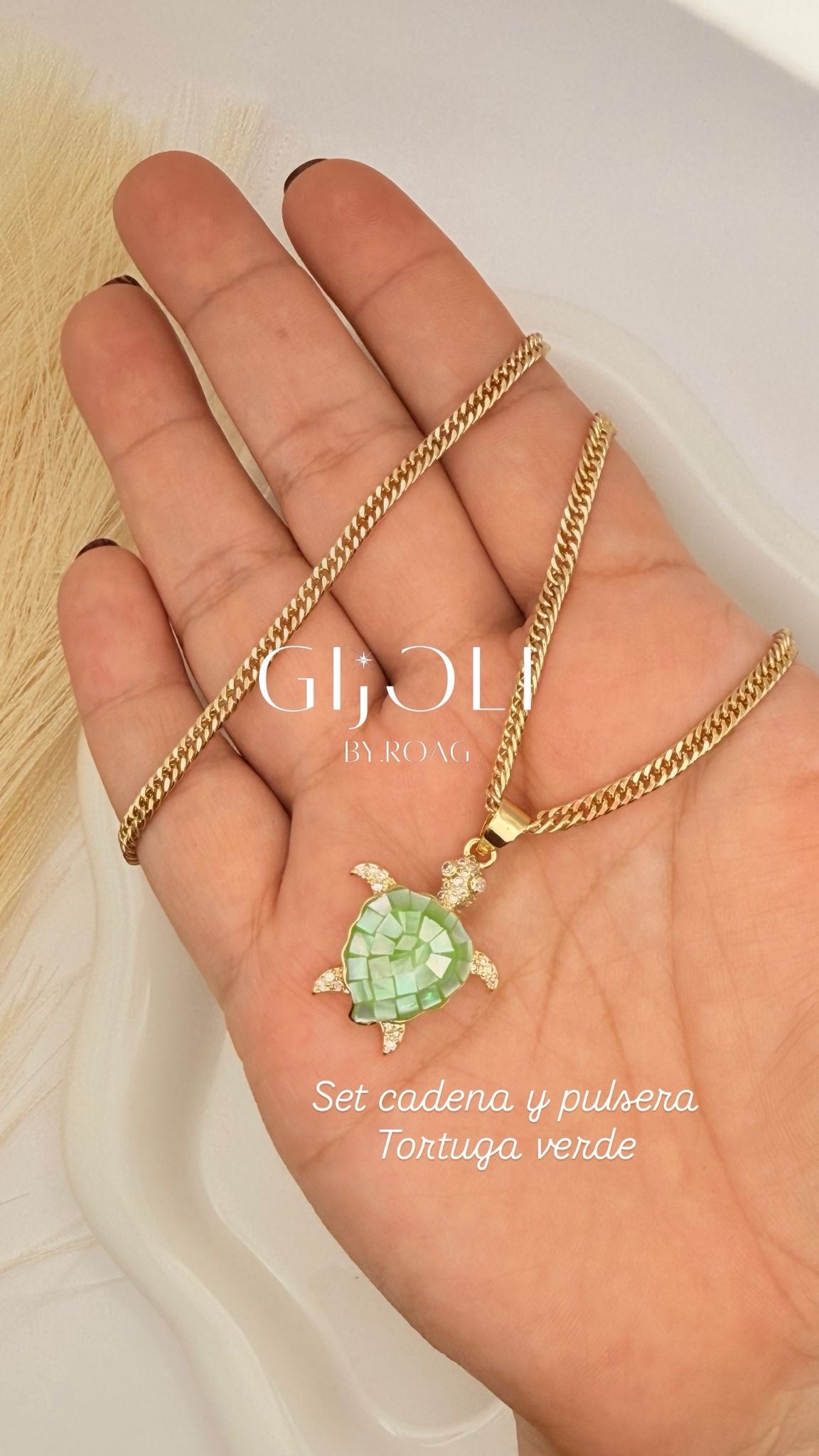 Set Tortuga Verde