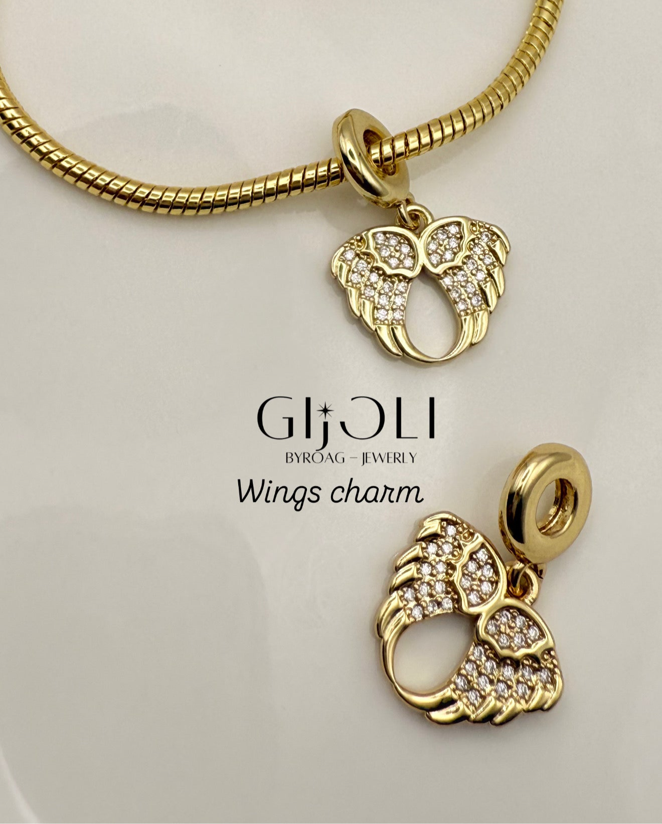 Wings charm